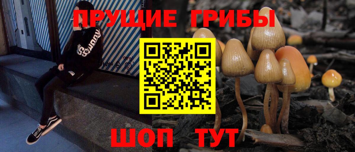 Пушкино  Псилоцибиновые грибы Magic Shrooms  Вход с VPN 