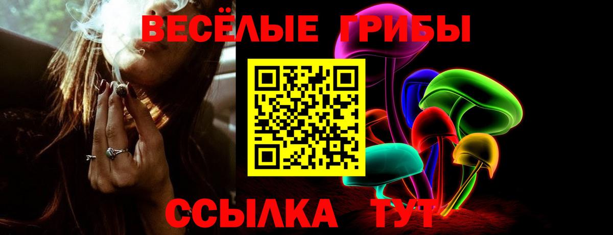 Галлюциногенные грибы GOLDEN TEACHER Пушкино